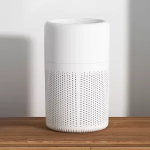 whole house air purifier, air purifier with aromatherapy, odour remover, negative ion air purifier, negative ion generator, home hepa filter